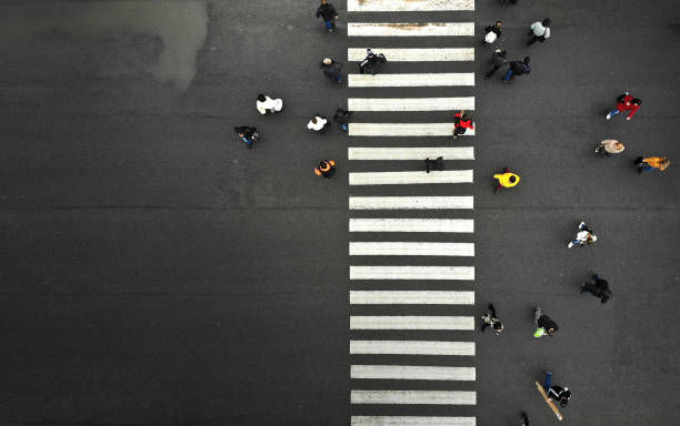 空中。横断歩道の人た�ちと都会的なライフスタイルの背景。トップビュー。 - zebra crossing ストックフォトと画像