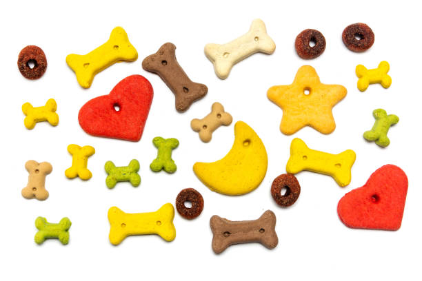istock Colorful dog food flat lay background 1150076360