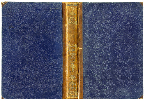 Old open book cover with leather spine, golden floral ornaments and unusual abstract embossed pattern on paper (circa 1850), isolated on white - perfect in detail! - XL size