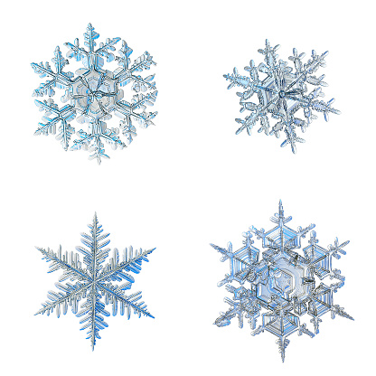 Four snowflakes isolated on white background. Macro photo of real snow crystals: elegant stellar dendrites with ornate shapes, fine hexagonal symmetry, glossy relief surface and complex inner details.