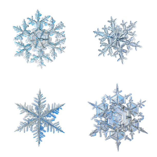 Four snowflakes isolated on white background Four snowflakes isolated on white background. Macro photo of real snow crystals: elegant stellar dendrites with ornate shapes, fine hexagonal symmetry, glossy relief surface and complex inner details. crystal photos stock pictures, royalty-free photos & images