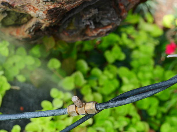 istock Spraying trees against pests in park 1150084724