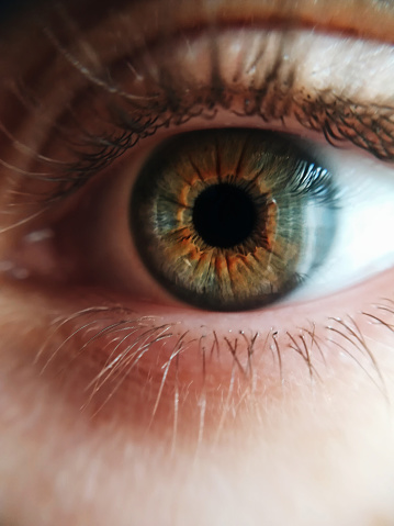 Close up macro green, blue human eye