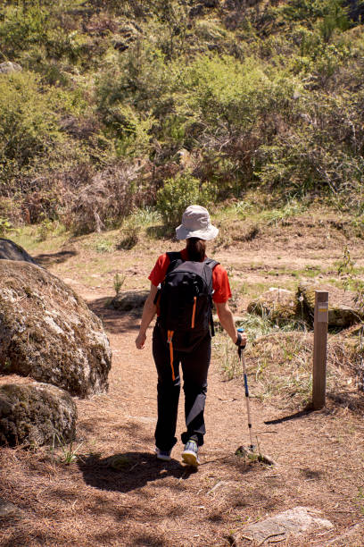 istock Woman doing trekking in nature 1150087134