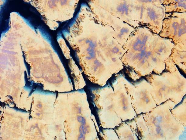 istock Wood art texture bacckground 1150088975