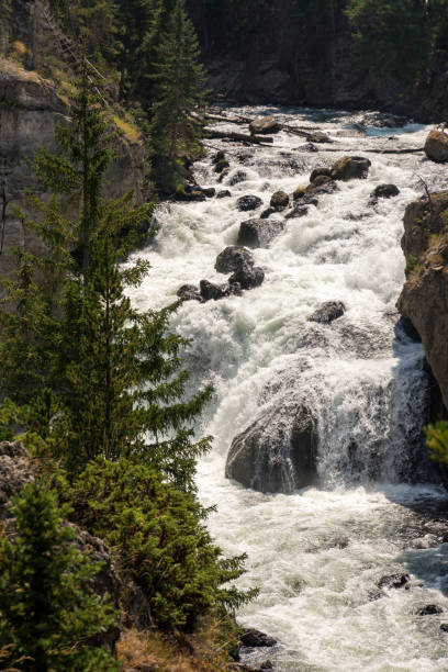 istock Firehole canyon drive  in Yellowstone National Park 1150091363