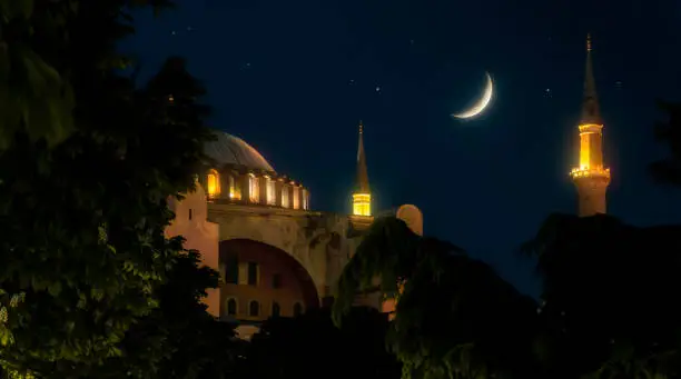 Fantastic view of Hagia Sophia (Istanbul), trees and bright moon at the starry night.