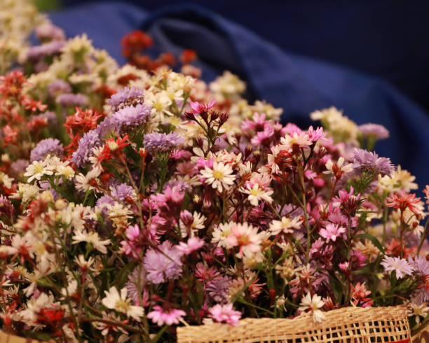 istock flowers bloom and rose for background 1150091734