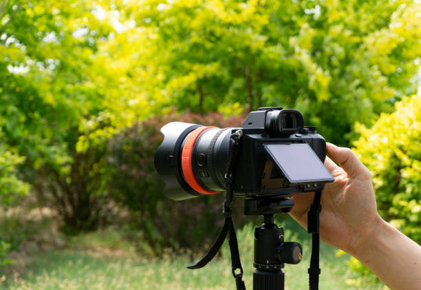istock photographing in garden with camera on tripod 1150092529