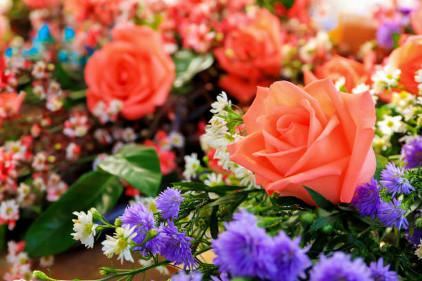 istock flowers bloom and rose for background 1150092551