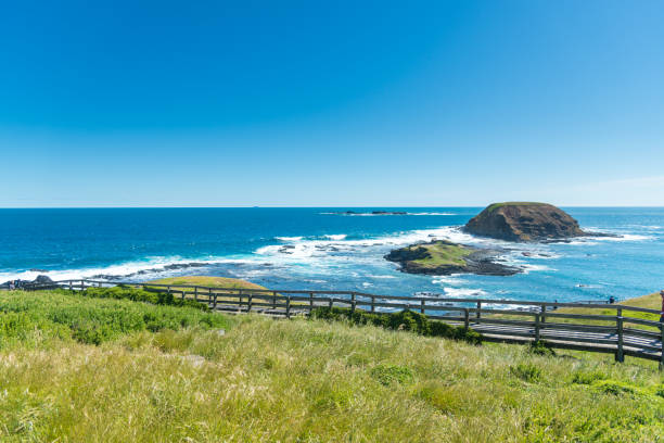 istock Natural and animals in Phillip Island 1150094426