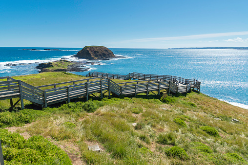 Natural and animals in Phillip Island