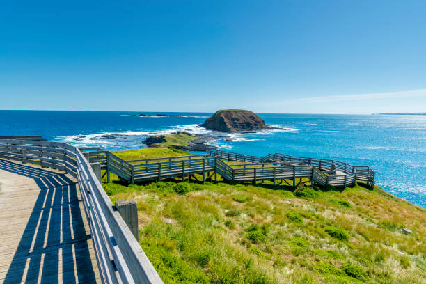 istock Natural and animals in Phillip Island 1150094623