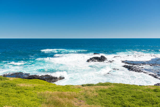 istock Natural and animals in Phillip Island 1150095614