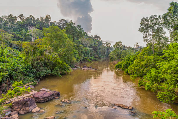 Omo River, Nigeria stock photo