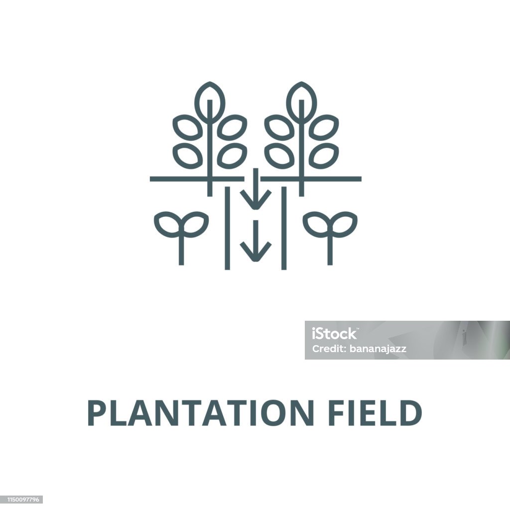 Plantation field vector line icon, linear concept, outline sign, symbol Plantation field vector line icon, outline concept, linear sign Abstract stock vector