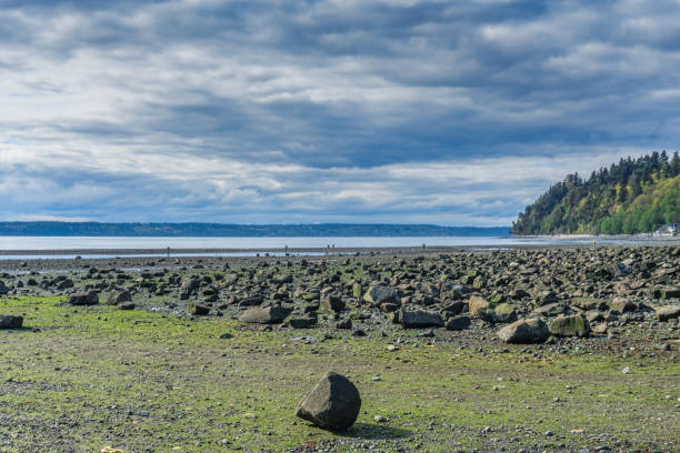 istock Rocky Low Tide Landscape 3 1150101937