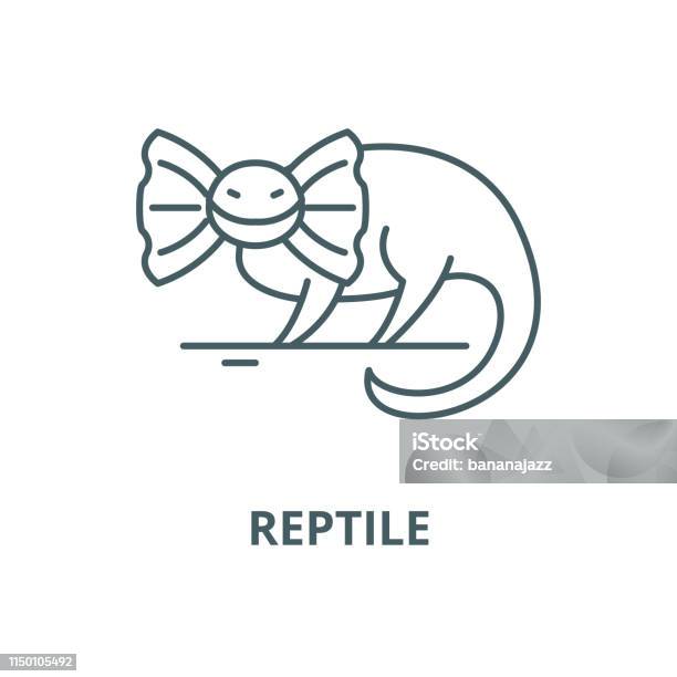 Reptile Vector Line Icon Linear Concept Outline Sign Symbol Stock Illustration - Download Image Now