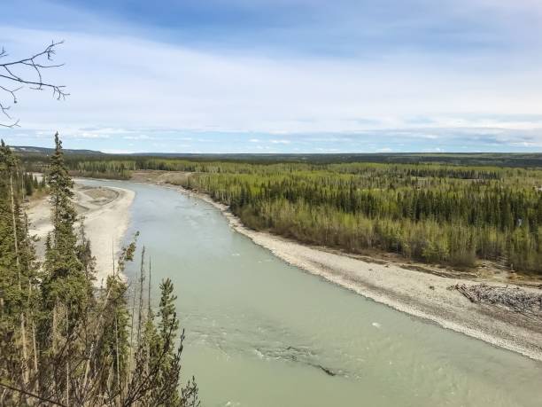 istock Tazlina River - Alaska 1150108679
