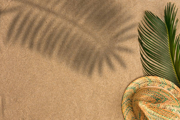 istock Minimalist summer flat lay with, palm leaves and panama hat on sand background with shadows 1150111986