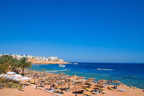 istock Sand beach of tropical hotel 115011369