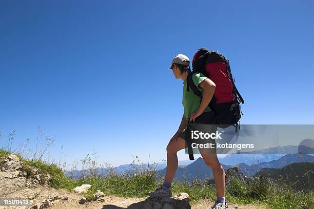 Photo libre de droit de Magnifique Touriste Femme Regardant Loin Les Alpes En Allemagne banque d'images et plus d'images libres de droit de Activité de loisirs