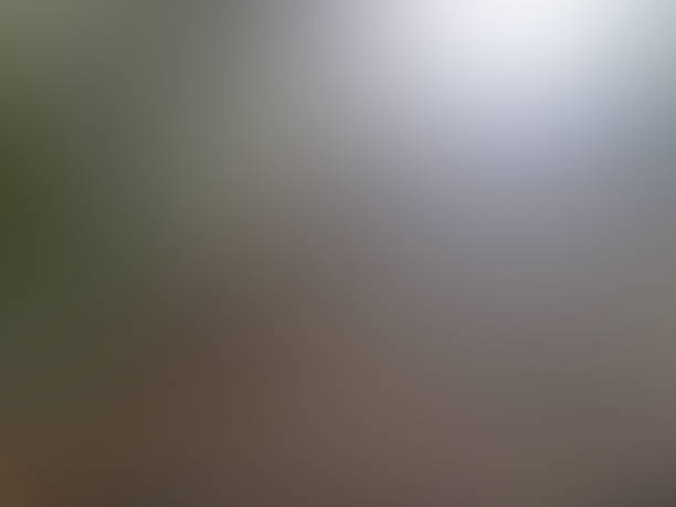 Abstract brown-green-gray background and a well lit white spot