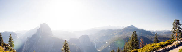 Large panoramic Half Dome at sunrise from across the valley with foreground trees.