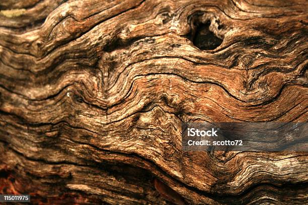 Unbewegliche Holz Textur Stockfoto und mehr Bilder von Baumrinde - Baumrinde, Texturiert, Naturwald