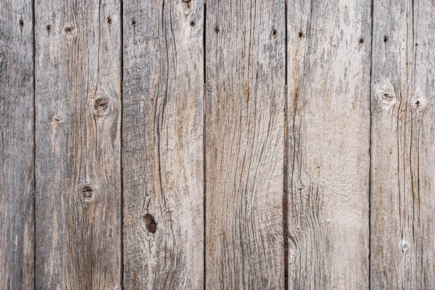istock Old Wooden Fence 1150120863