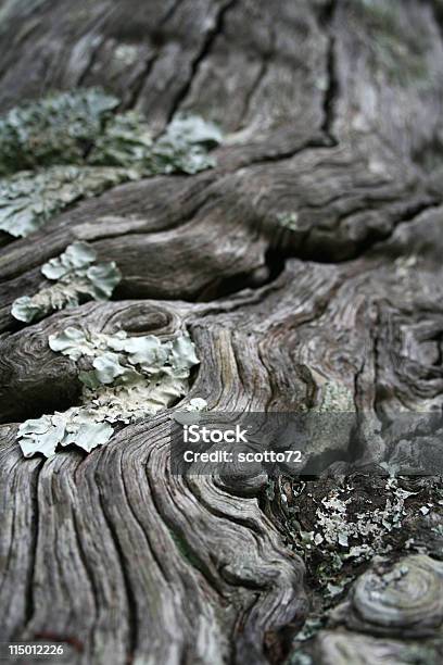 Unbewegliche Alten Holz Stockfoto und mehr Bilder von Alt - Alt, Astloch, Baum