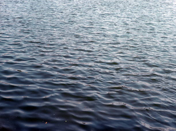 istock glare on water in city park pond 1150122744