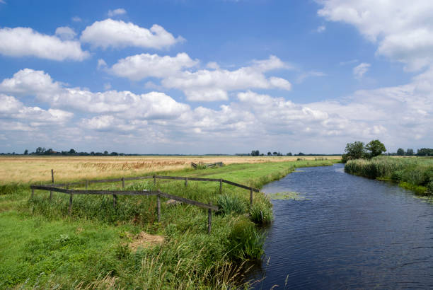 el paisaje cerca de bleskensgraaf - alblasserwaard fotografías e imágenes de stock