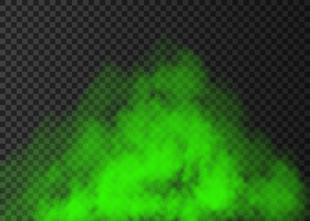 ilustrações de stock, clip art, desenhos animados e ícones de green smoke  or fog isolated on transparent background. - toxic substance smoke abstract green