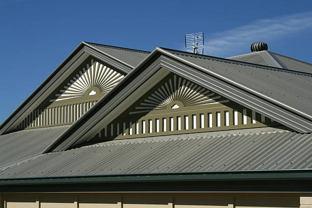 maison sur le toit - metal roof photos et images de collection