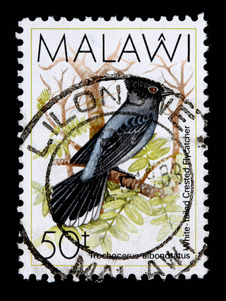istock Fifty-tambala stamp printed in Malawi, Africa 115013064