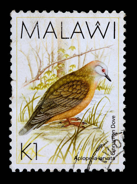 istock One-kwacha stamp printed in Malawi, Africa 115013068