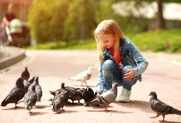 Photo of Friendly joyful girl child feeds pigeons in city summer park