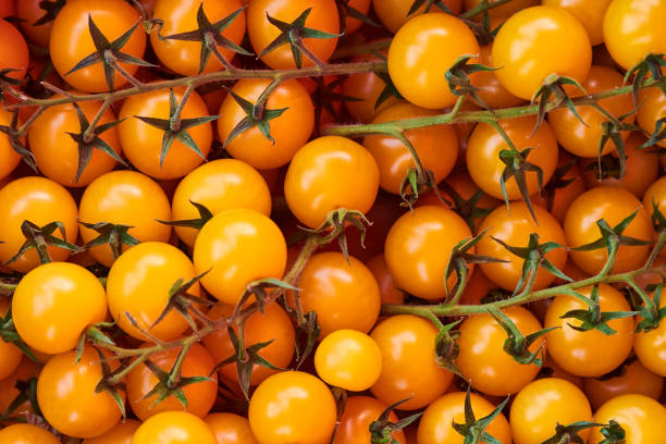 istock Background with beautiful, yellow tomatoes. 1150134526