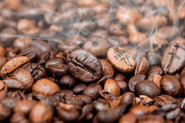 istock Mixture of different kinds of coffee beans. Coffee Background 1150135436
