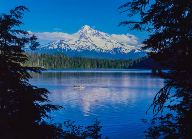 istock Spring morning in the Cascade Range with Mt. Hood, OR 1150136596