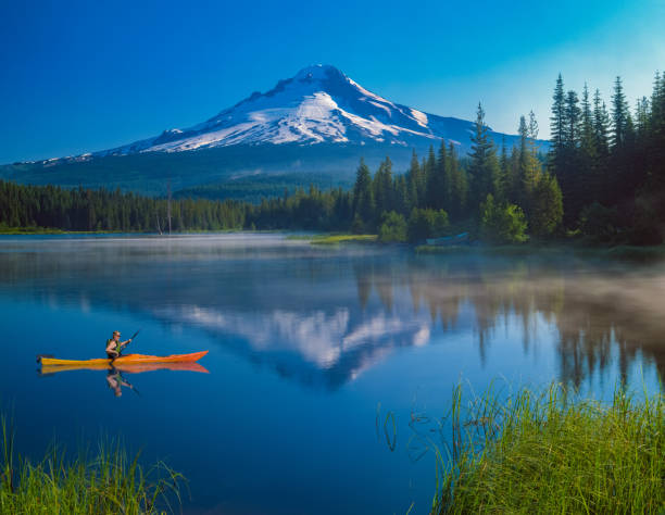 istock Spring morning in the Cascade Range with Mt. Hood, OR 1150136667