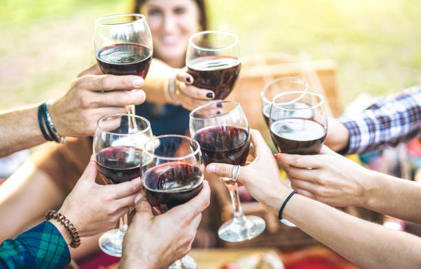 hands toasting red wine and friends having fun cheering at winetasting experience - young people enjoying harvest time together at farmhouse vineyard countryside - foucus on glasses with blurred woman - picnic family barbecue social gathering imagens e fotografias de stock