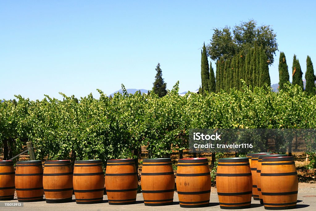 Barriles de vino - Foto de stock de Barril de vino libre de derechos