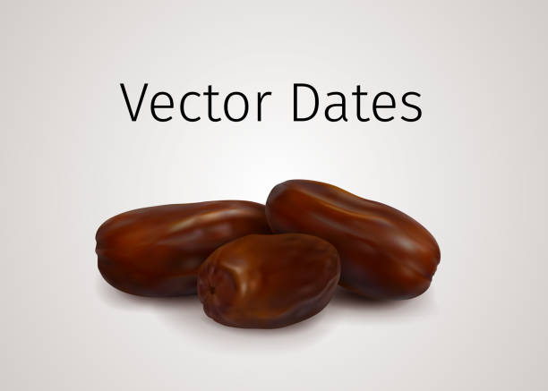 Bunch of Realistic Vector Dates Fruits isolated on white background Bunch of Realistic Vector Dates Fruits isolated on white background. Natural Oriental Sweet Dried Fruit. Traditional Muslim Meal for Food After Sunset fruit of islam stock illustrations