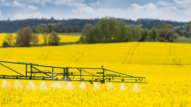 dettaglio spruzzatore agricolo. campo di colza in fiore. brassica napus - spraying agriculture farm herbicide foto e immagini stock