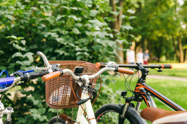istock Bicycle parking in the park 1150145433