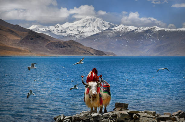 Tibet, China