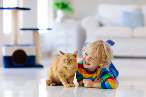 istock Child playing with cat at home. Kids and pets. 1150163563