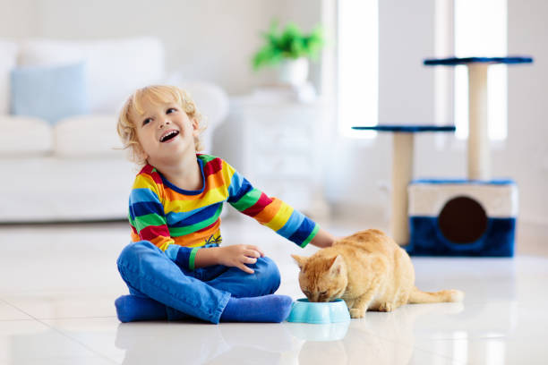 istock Child playing with cat at home. Kids and pets. 1150165492